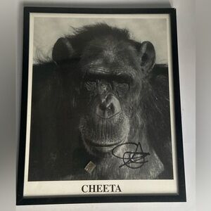 Cheetah the Chimp Signed Photograph